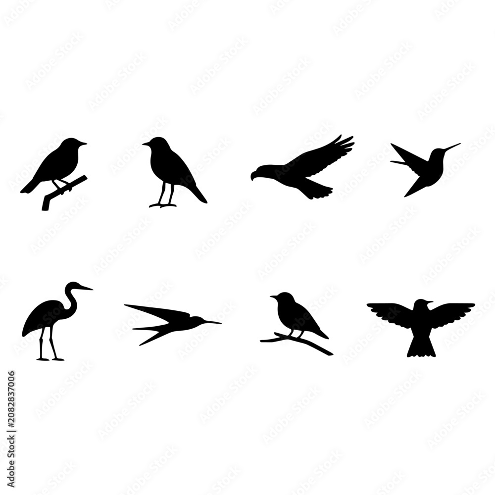 Fototapeta premium Set of bird species silhouettes with animal set bird icon silhouette wildlife collection illustration hummingbird feathers isolated wingspan ornithology creature migration birdwatching