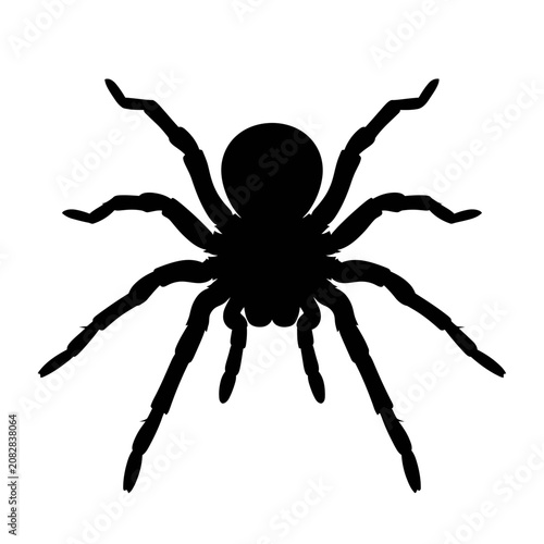 Εκτύπωση καμβά Black spider silhouette, creepy crawly icon, Halloween symbol, arachnid vector i