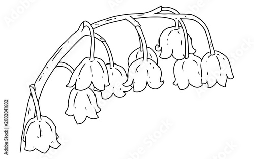 Foto Black and white line art illustration of delicate lily of the valley flowers with bell-shaped blossoms hanging from a curved stem
