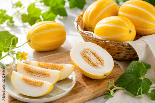 참외배경