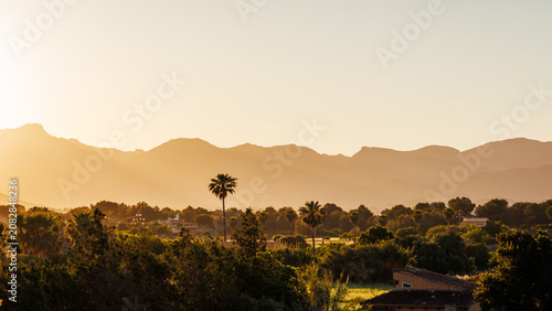 Palm tree and mountain range in distance with clear sky during summer sunset in Mallorca, Spain. View from Medieval Wall of Alcudia