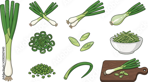 Quadro su tela Green onion scallion vector collection featuring whole sliced chopped spring oni