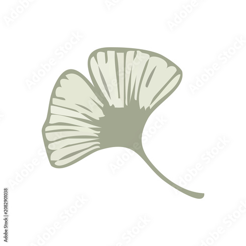 Minimalist Ginkgo Leaf Vector Illustration, Botanical Graphic Element