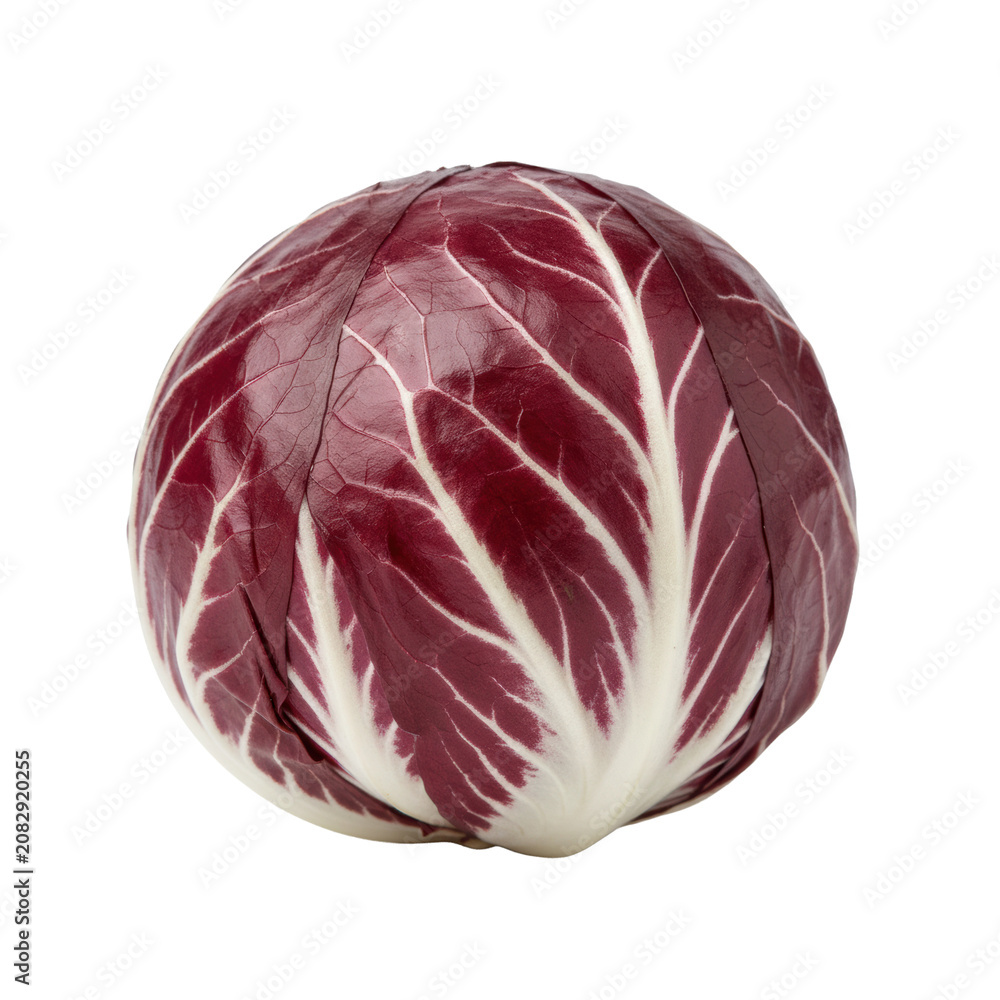 Obraz premium A single fresh radicchio head with vibrant crimson-purple leaves and stark-white veins, macro close-up, soft studio lighting, isolated on a transparent background, concept of natural beauty and