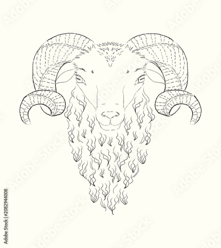 Goat Head Front View With Large Curled Horns Hand Drawn Line Art On Beige Background