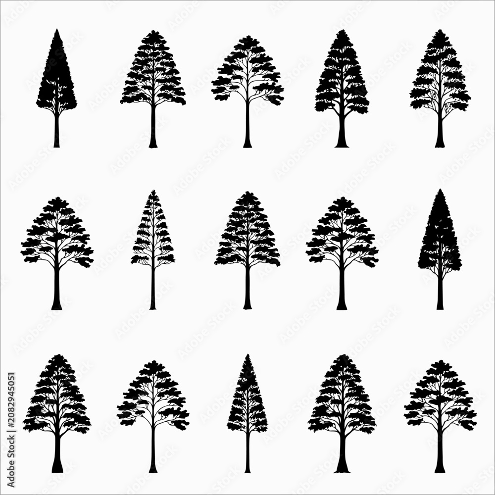 Obraz premium set of trees