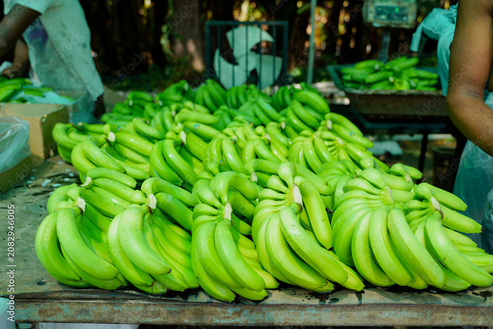 Naklejka premium indian rural labour working at green banana field