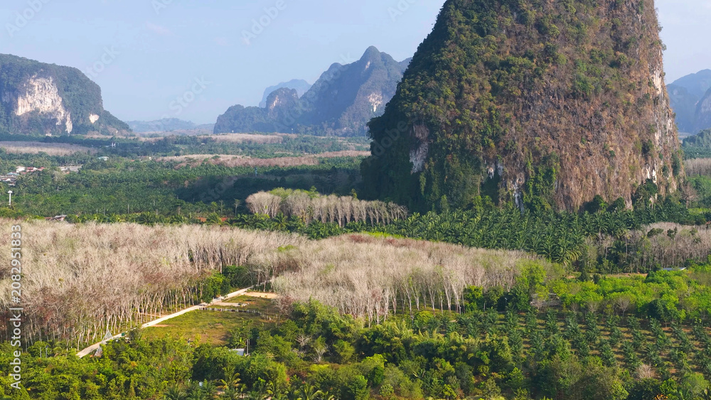 Obraz premium Aerial View of Limestone Karst Mountains and Tropical Jungle in Krabi