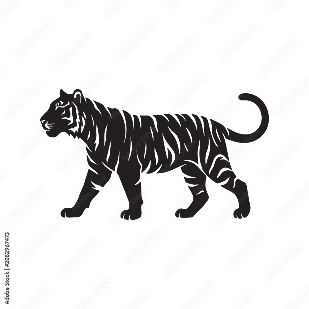 Obraz premium Detailed black and white line of a tiger walking, side profile view, powerful big cat isolated on white