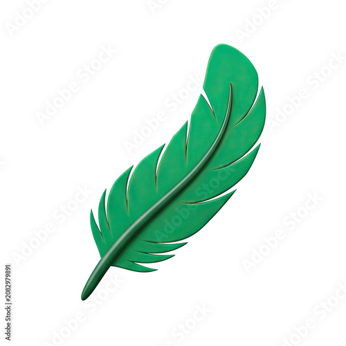 Green feather isolated on transparent background