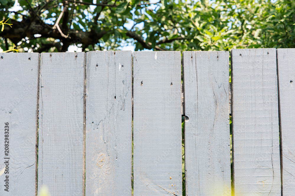 Fototapeta premium Wooden fence stands in garden surrounded by green plants and trees on a sunny day