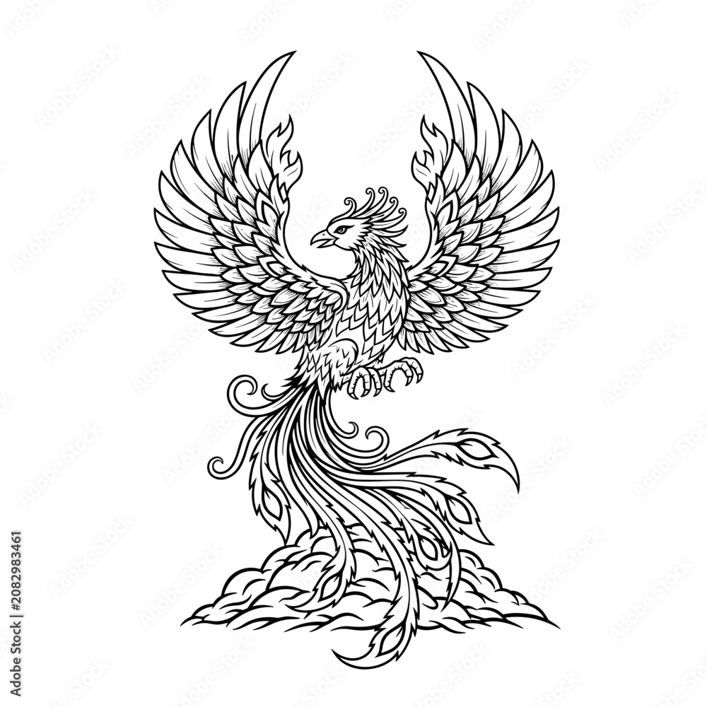 Fototapeta premium Intricate line art of a phoenix with majestic wings