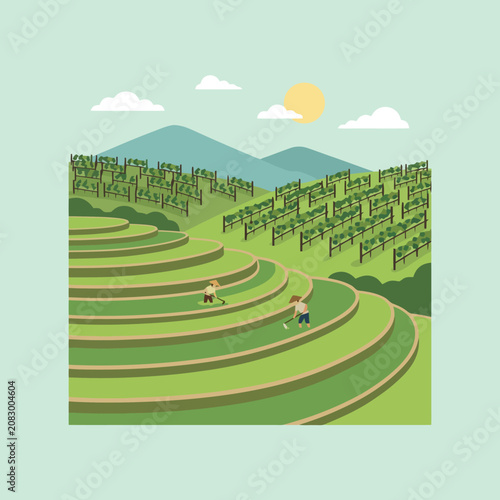 Farmers working on green terraced rice fields
