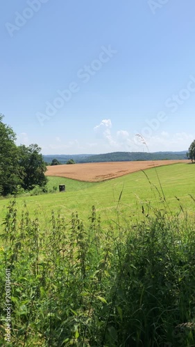 Idyllic countryside forest landscape with green grass meadow field and blue sky with clouds in Westerwald Germany Europe