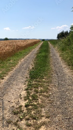 Idyllic countryside forest landscape with agricultural road path and wheat field and blue sky in Westerwald Germany Europe