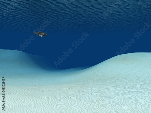 Ozeanboden mit Unterwasserdünen