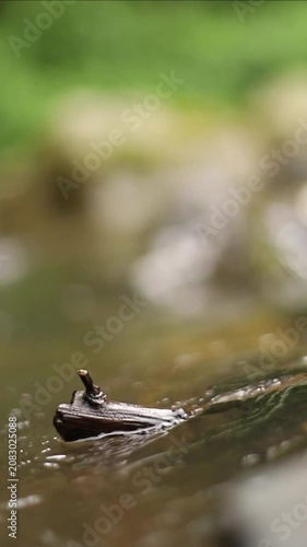 Water flowing into the river