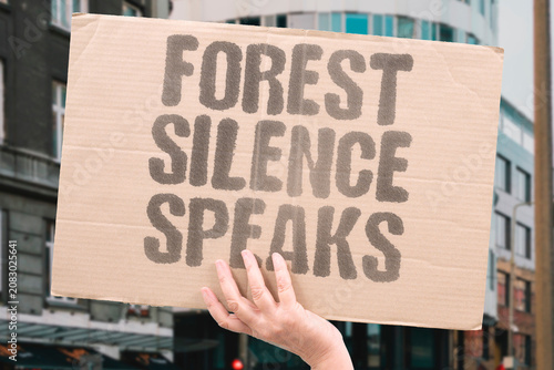 Foto "Forest silence speaks" The absence of life is loud