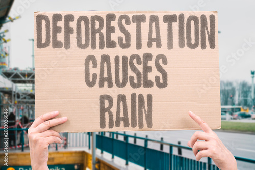 Fotografie "Deforestation causes rain" Cutting down trees alters precipitation patterns