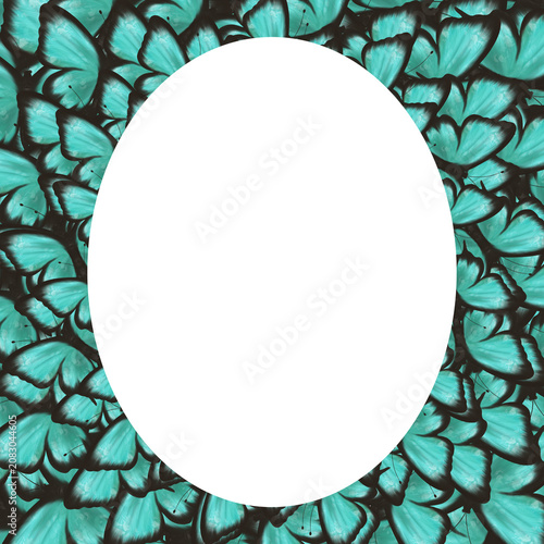 Elegant turquoise butterfly frame with large oval copy space surrounded by vibrant wings. Decorative nature background for greeting cards, invitations, posters, banners and luxury designs