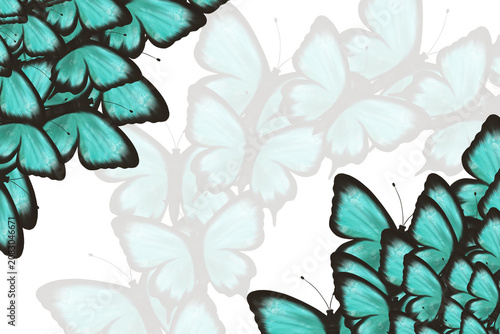 Elegant turquoise butterfly frame with translucent wings and soft shadows surrounding spacious copy area. Decorative nature border for invitations, greeting cards, posters and seasonal designs