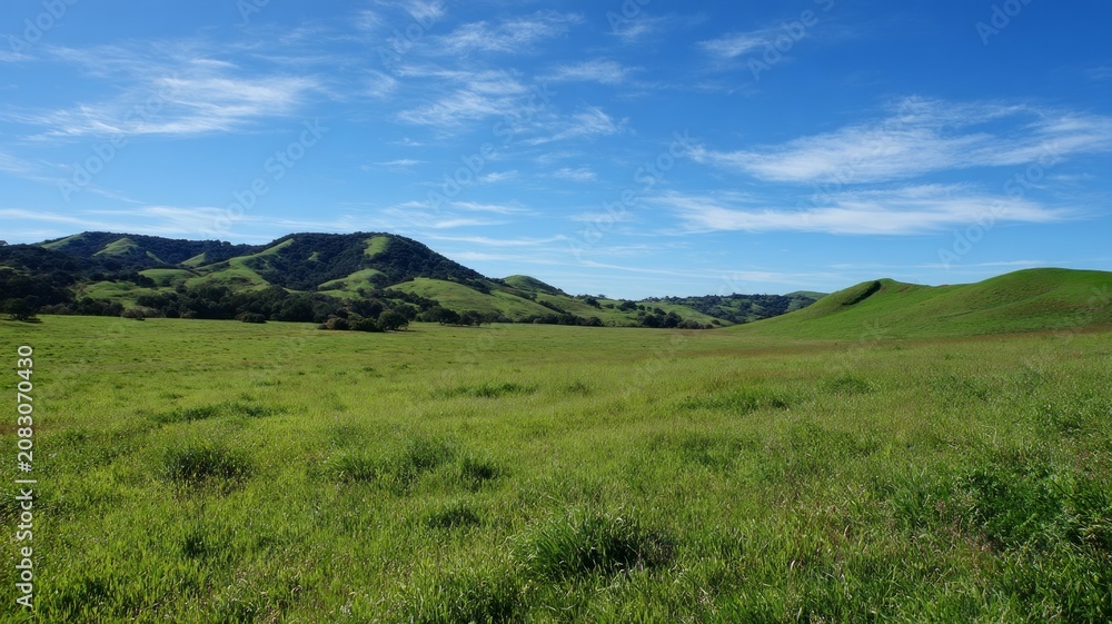 Fototapeta premium Rolling hills with blue sky and mountains. Artificial intelligence image