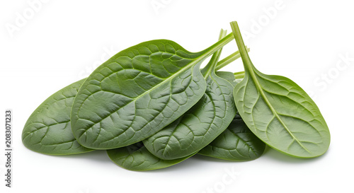A fresh baby spinach leaves arranged in a compact layered cluster, isolated on a pure white background
