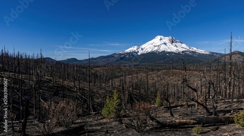 Mount jefferson in oregon after a wildfire
