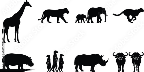 Photography Collection of African Safari Wildlife Animal Silhouettes Including Elephant, Gir