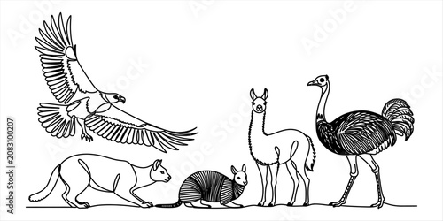 Canvas Print Collection of wild animals drawing in black and white line art