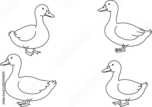 Konstfotografi Duck coloring page vector, farm bird outline drawing, domestic duck illustration