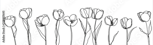 A graphic illustration of tulips in a continuous line art style. the artwork showcases nine tulip flowers and their foliage, emerging from a single horizontal line that spans the bottom of the frame.