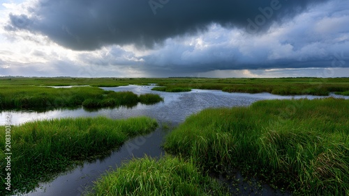 Lush Marshland After Rain with Storm Clouds and Sunbeams Reflecting in Water