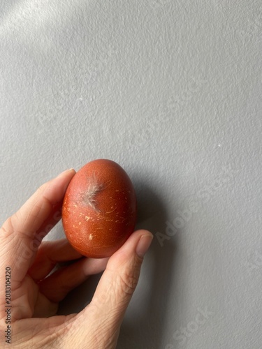Close-up photograph of a fresh brown chicken egg with a feather attached to the shell, held in a hand against a neutral grey background. Natural farm-to-table concept representing fresh produce, 