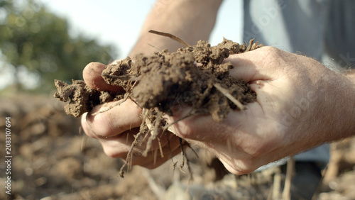 Fotografía Farmer's hands examining the quality of the soil.