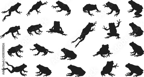 Fotografía Frog silhouettes, jumping frog poses, amphibian movement, sitting frog vector, a