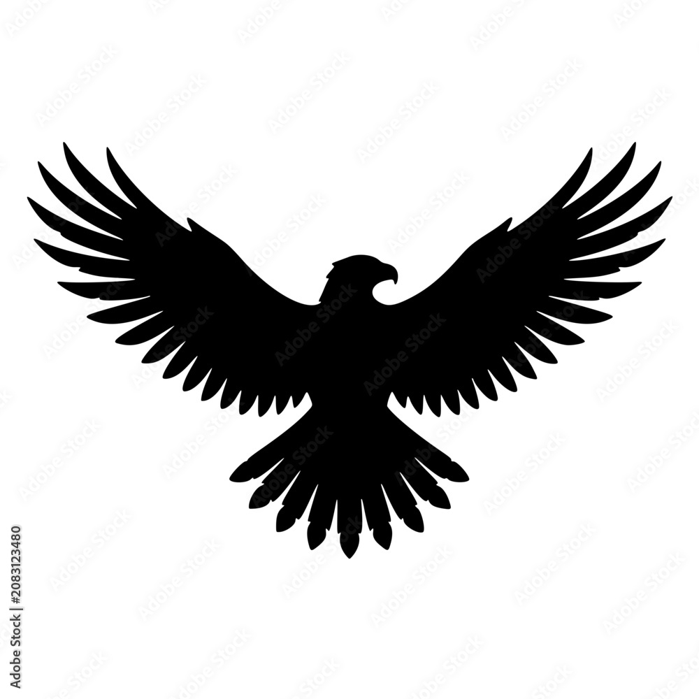 Fototapeta premium Eagle with wings spread