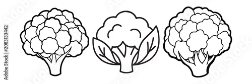 organic cauliflower set with leaves fresh raw vegetable collection for grocery vector design