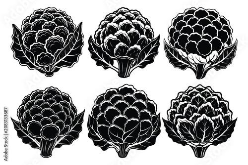 cauliflower vegetable collection fresh farm harvest ingredient isolated premium vector illustration