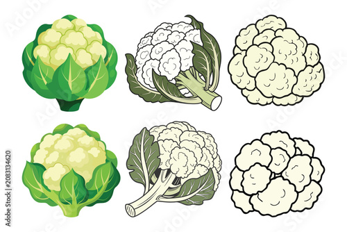 Fresh organic cauliflower vegetable collection isolated on white background healthy farm produce vector illustration
