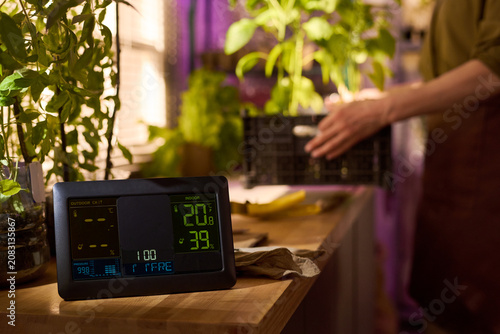 Foto Close up of digital thermometer monitoring indoor temperature and humidity near homegrown plants while adult gardener harvesting produce