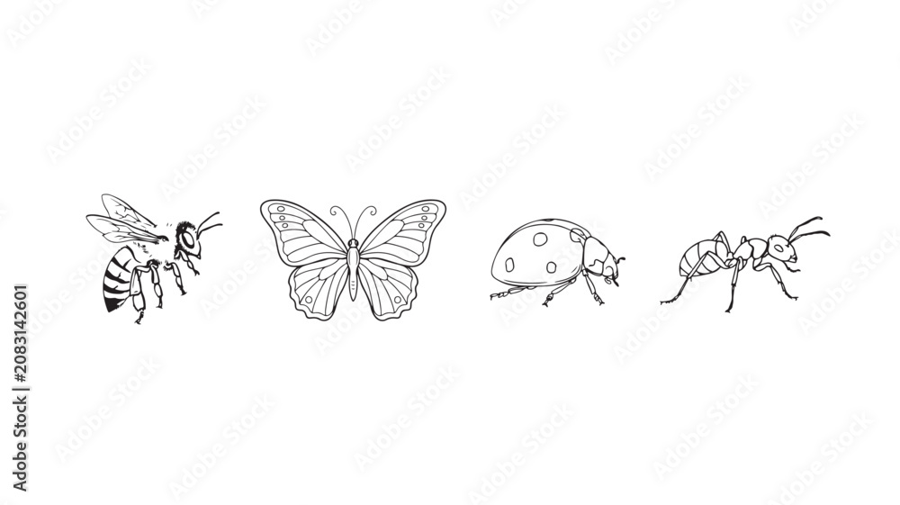 Obraz premium Insect icons set with bee, butterfly, ladybug, and ant in a simple line art style on white background