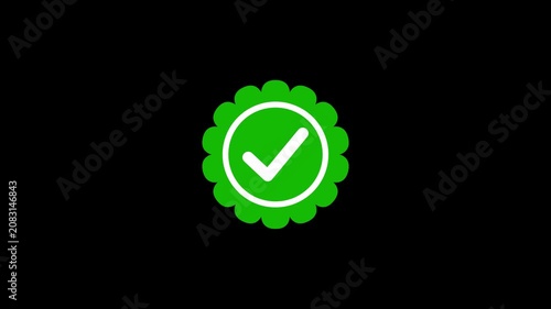 Green Checkmark Animation. Success and Verification. Checkmark Tick Animation, Approval and Confirmation Icon. Check Tick Yes Symbol in 4K