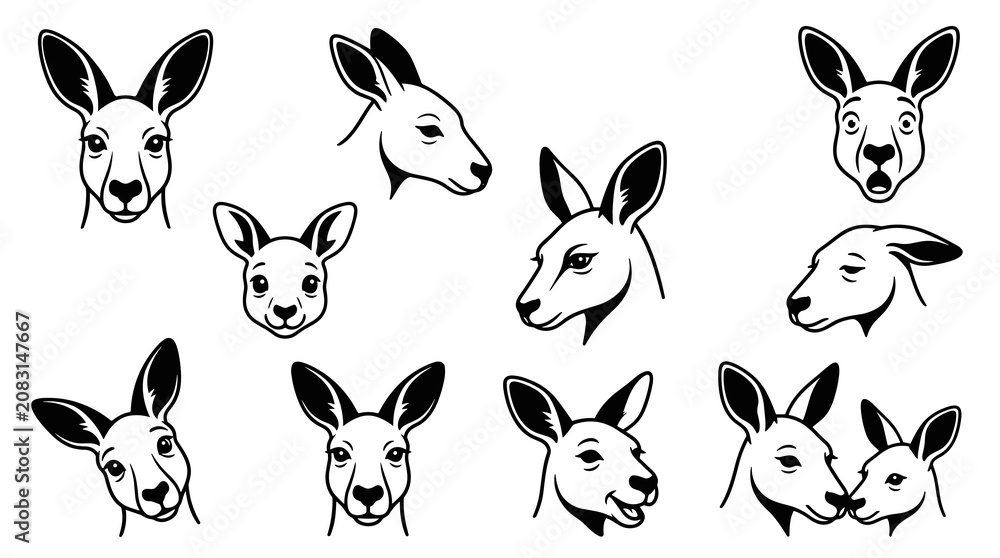Obraz premium Collection of diverse kangaroo head illustrations in outline, capturing various expressions and angles, animal icons for design