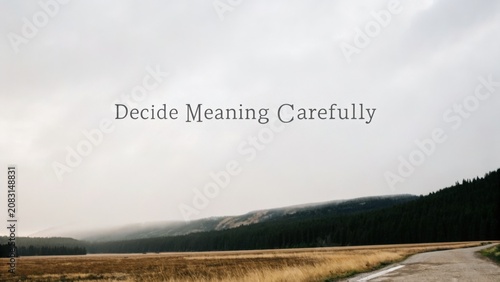 Thoughtful Landscape with the Phrase Decide Meaning Carefully in a Serene Natural Setting During Cloudy Weather
