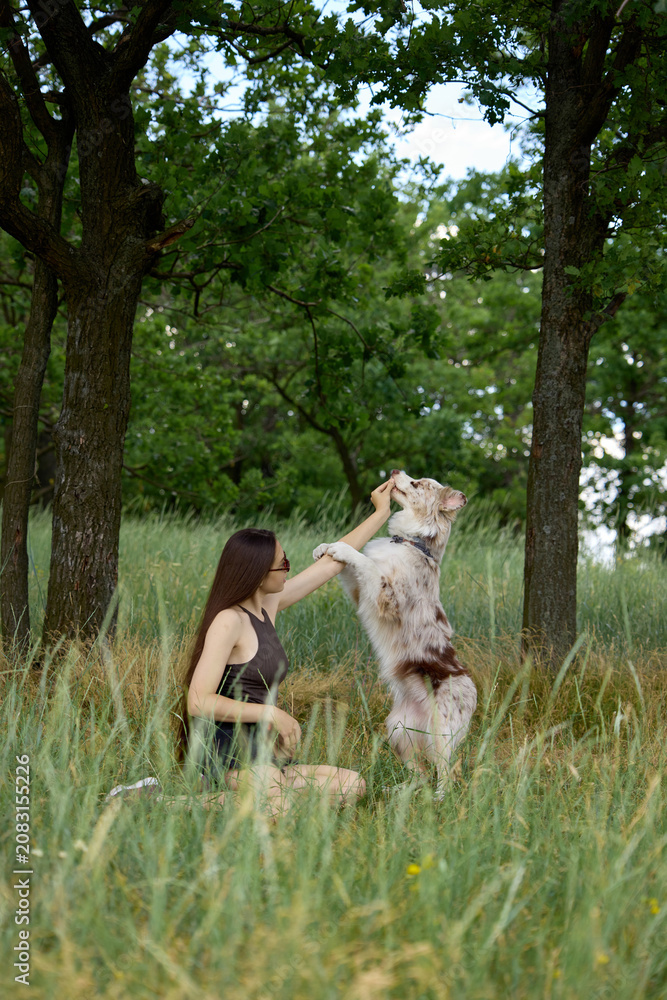 Fototapeta premium Woman rewarding dog during obedience training in forest meadow. Concept of dog behavior education, positive reinforcement, pet bonding, outdoor training, and pet brand campaign.