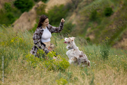 Fotografie Woman rewarding sitting dog during obedience lesson in green meadow