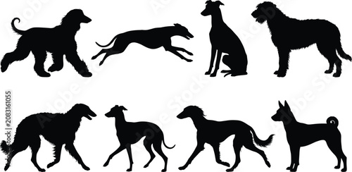 Fényképezés Set of solid black high contrast dog silhouettes featuring various sighthound an