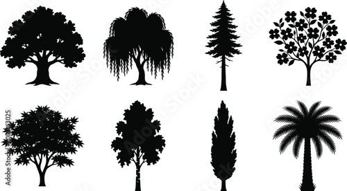 Foto Set of solid black high contrast tree silhouettes featuring pine, palm, oak, and