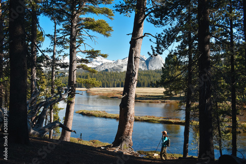 lake in the forest